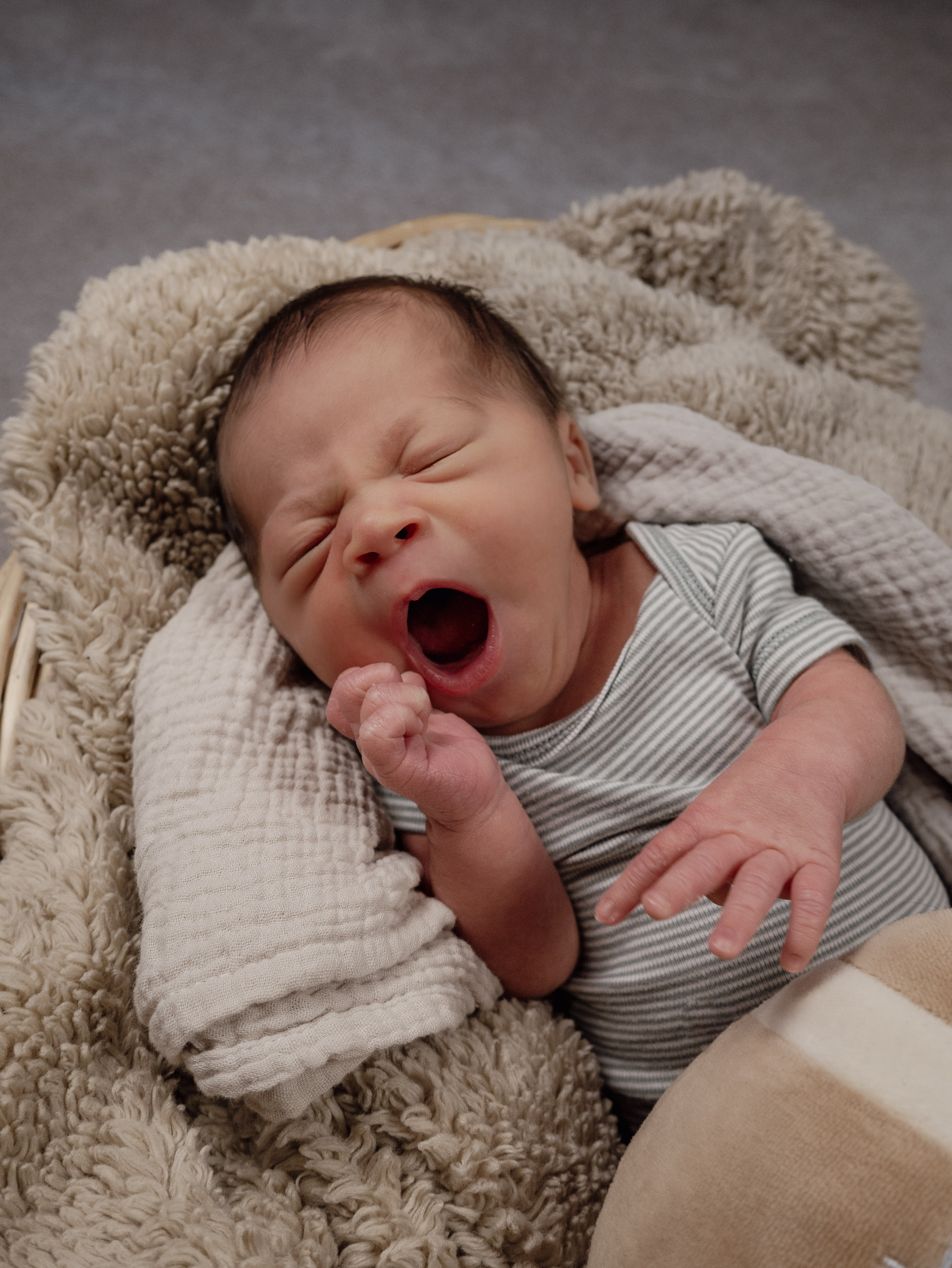 Newborn photography